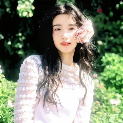 盗贼生涯